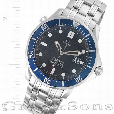 Omega 254118000 Seamaster Quartz Male Stainless Steel