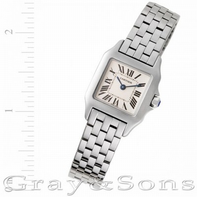 Cartier W25064Z5 Demoiselle Quartz Female Stainless Steel
