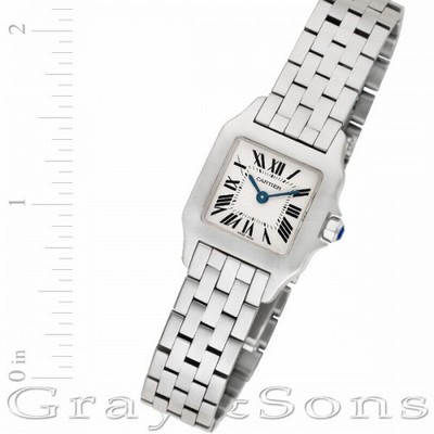 Cartier W25064Z5 Santos Demoiselle Quartz Female Stainless Steel