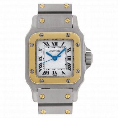 Cartier w20054d6 Santos Automatic Female Stainless Steel