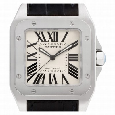 Cartier W20073X8 Santos 100 Automatic Male Stainless Steel