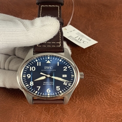 IWC Men XVIII IW327004