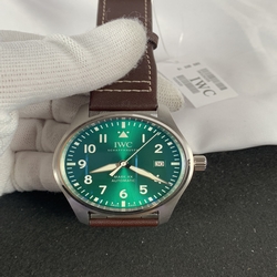 IWC Men XVIII IW328205