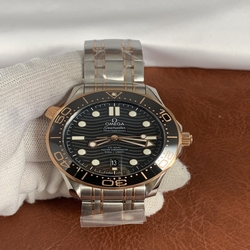 Omega Men Seamaster 210.20.42.20.01.001