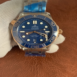 Omega Men 210.20.42.20.03.001
