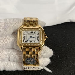 Cartier Ladies Panthere Secrete De Ladies