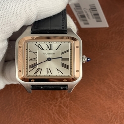 Cartier Ladies W2SA0012