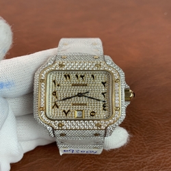 Cartier Men Santos De Cartier WSSA0009 ICED Two Tone