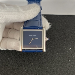 Cartier Women WSTA0055