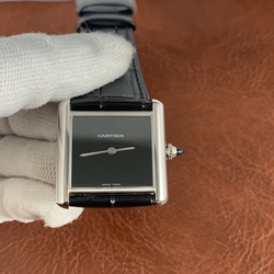 Cartier Women WSTA0072
