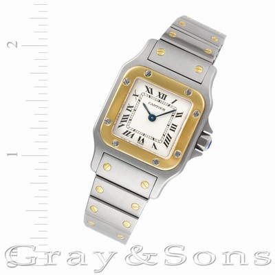 Cartier w20012C4 Santos Quartz Male Stainless Steel