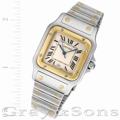 Cartier W20011C4 Santos Automatic Male Stainless Steel