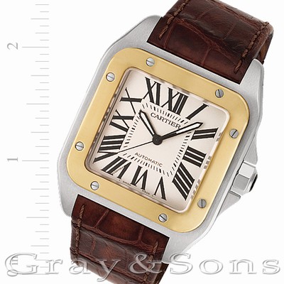 Cartier w20072x7 Santos 100 Automatic Male Stainless Steel