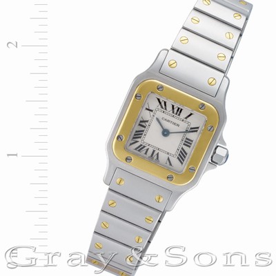 Cartier W20012C4 Santos Quartz Female Stainless Steel