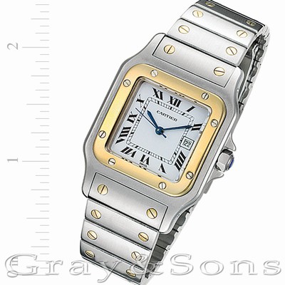 Cartier W20011C4 Santos Automatic Male Stainless Steel