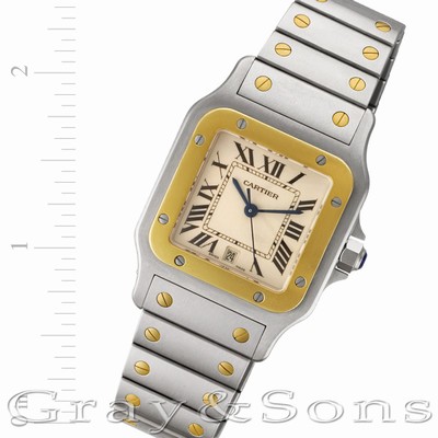 Cartier W20011C4 Santos Quartz Male Stainless Steel