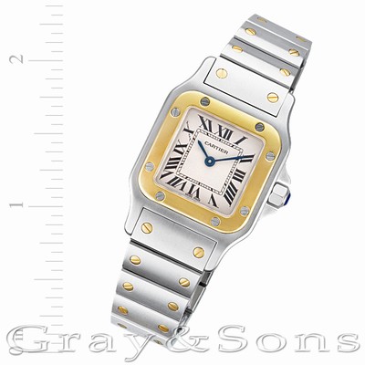 Cartier W20012C4 Santos Quartz Female Stainless Steel