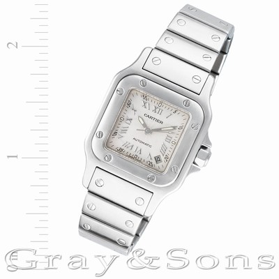 Cartier w20054d6 Santos Automatic Female Stainless Steel