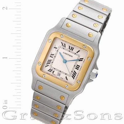 Cartier W20011C4 Santos Quartz Male Stainless Steel
