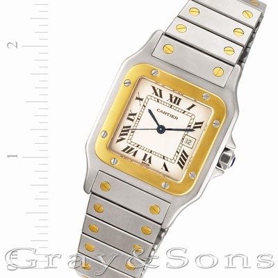 Cartier W20058C4 Santos Automatic Male Stainless Steel