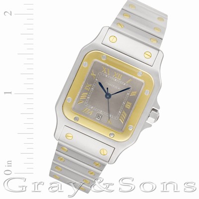 Cartier w20011c4 Santos Quartz Male Stainless Steel