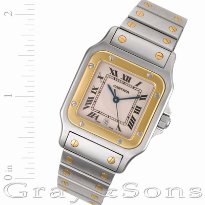 Cartier W20058C4 Santos Automatic Male Stainless Steel