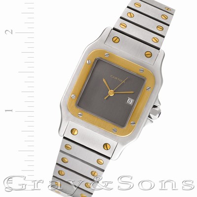 Cartier w20058c4 Santos Automatic Male Stainless Steel