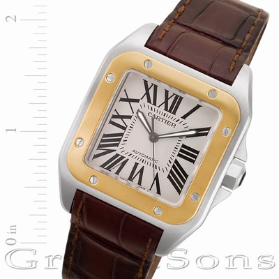Cartier W20072X7 Santos 100 Automatic Male Stainless Steel