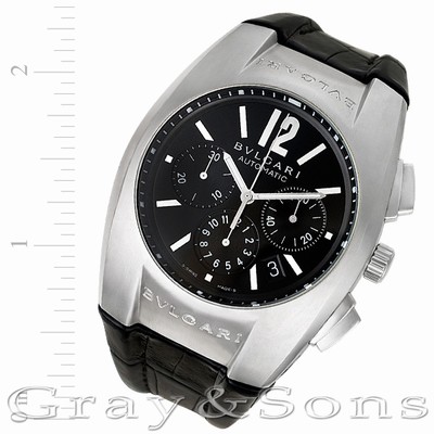 Bvlgari eg40sch Ergon Automatic Male Stainless Steel