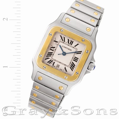 Cartier W20011C4 Santos Quartz Male Stainless Steel