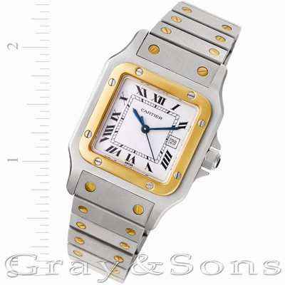 Cartier W20058C4 Santos Automatic Male Stainless Steel