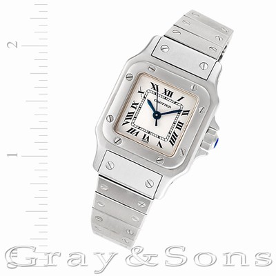 Cartier w20054d6 Santos Automatic Female Stainless Steel