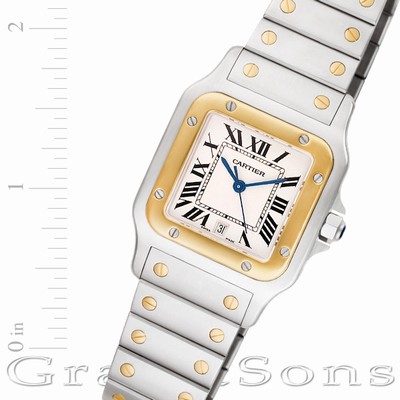 Cartier W20011C4 Santos Quartz Male Stainless Steel