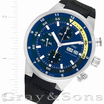 IWC  IW378203 Tribute to Calypso Automatic Male Stainless Steel