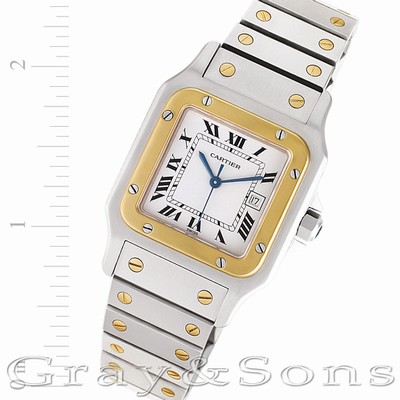 Cartier W20058C4 Santos Automatic Male Stainless Steel