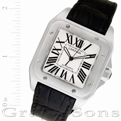 Cartier W20073X8 Santos 100 Automatic Male Stainless Steel