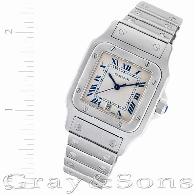 Cartier W20060D6 Santos Quartz Male Stainless Steel