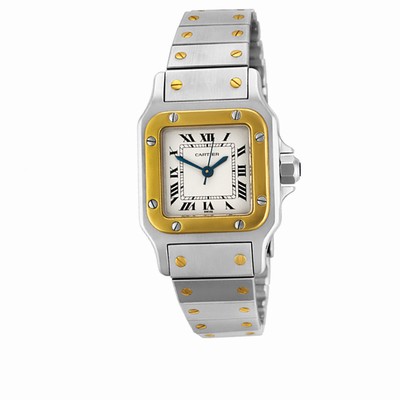 Cartier W20012C4 Santos Automatic Female Stainless Steel