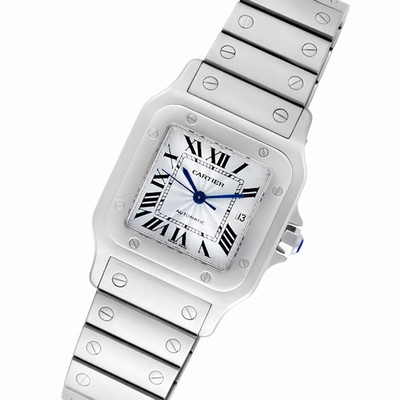 Cartier W20055D6 Santos Automatic Male Stainless Steel