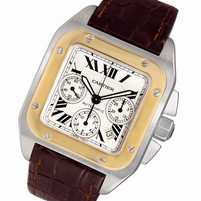 Cartier w20091x7 Santos 100 Automatic Male Stainless Steel