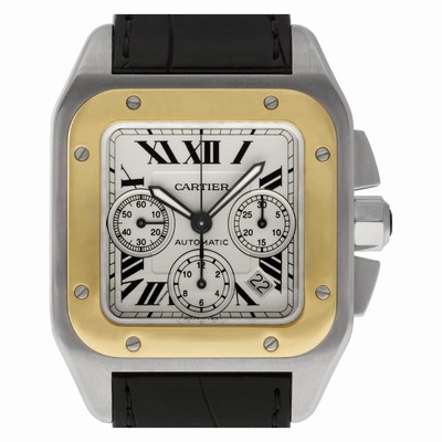 Cartier w20091x7 Santos 100 Automatic Male Stainless Steel