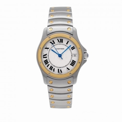 Cartier W20026R3 Santos Automatic Male Stainless Steel