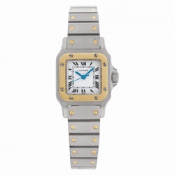 Cartier w20054d6 Santos Automatic Female Stainless Steel