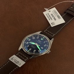 IWC Men XVIII IW327004