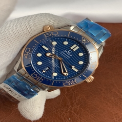 Omega Men 210.20.42.20.03.001