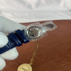 Patek Philippe Men Grand Complications 5396R-014