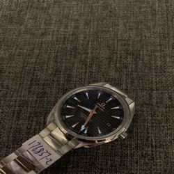 Omega men Omega Aqua Terra 150M 231.10.42.21.01.006