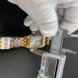 Cartier Ladies Panthere Secrete De Ladies