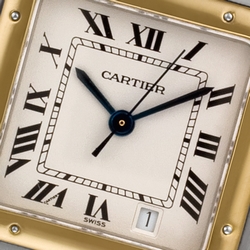 Cartier W25028B Panthere Quartz Male Stainless Steel