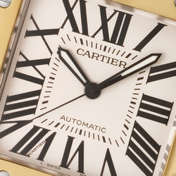 Cartier w20072x7 Santos 100 Automatic Male Stainless Steel